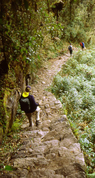 Abstieg - dem Fhrer nach sollen es 1200 Treppen sein