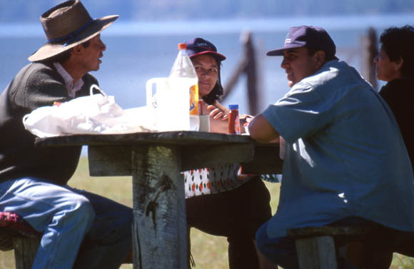 Nachkommen der Ureinwohner der Gegend: Mapuche Indigenas