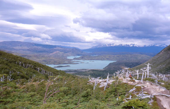Ausblick zurck auf den Logo Nordenskjld