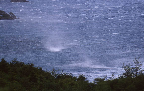 Der Wind blst das Wasser regelrecht von der Oberflche weg