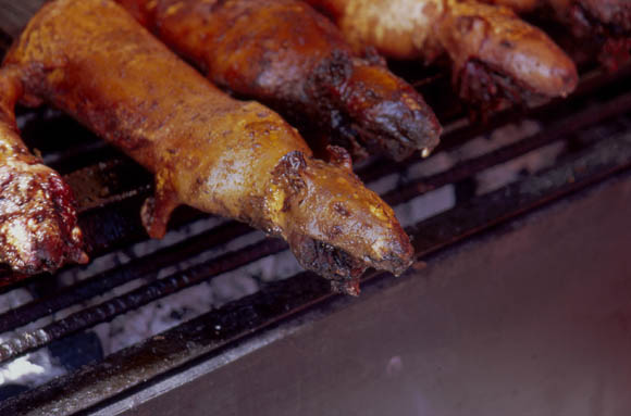 Die Spezialitt von Ecuador - Cuyes, Meerscheinschen vom Grill