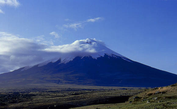 Der Cotopaxi ragt mit einer fast perfekten Kegelform noch 2000m ber die Hochebene des Parks hinaus