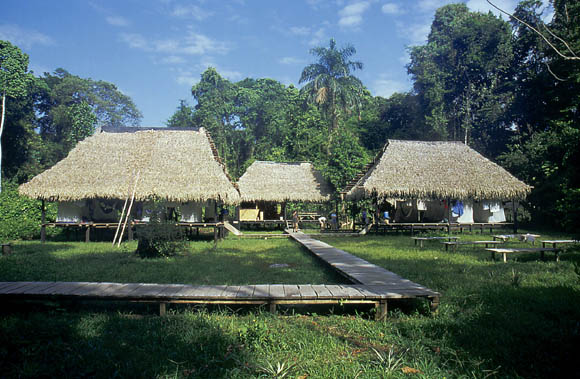 Unser Zuhause fr 4 Nchte - die Dracaena Lodge mitten Urwald